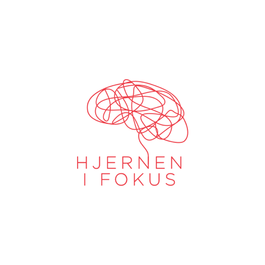 Hjerneifokus_Roed_2