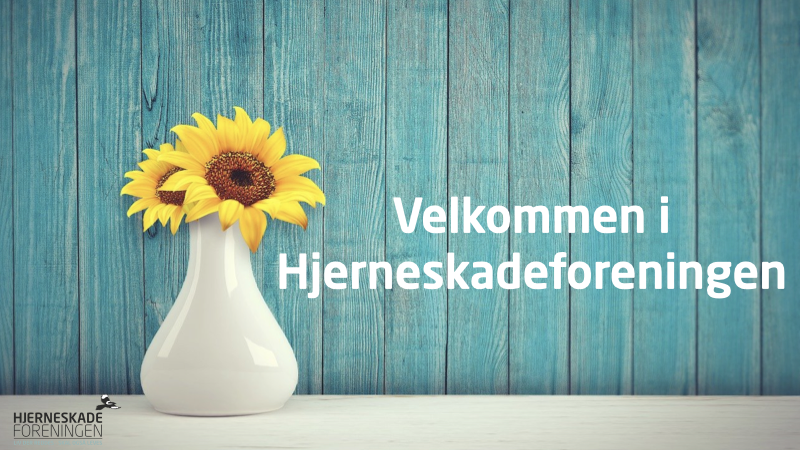 Velkommen i Hjerneskadeforeningen En hvid vase med solsikker på hvid bordplade og med blågrønne brædder som baggrund. Ved siden af teksten Velkommen i Hjerneskadeforeningen"