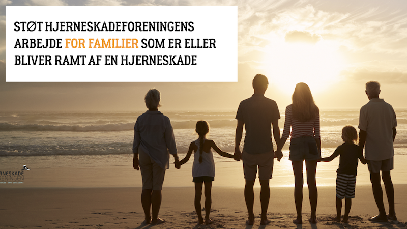 familie på seks personer på stranden, solnedgang, i hjørmet appel: Støt Hjerneskadeforeningens arbejde